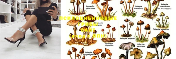гашишное масло Сосновый Бор