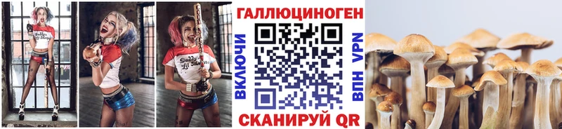 Псилоцибиновые грибы MAGIC MUSHROOMS  Кондопога 