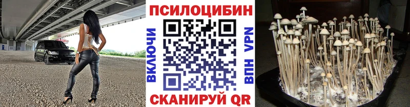 Галлюциногенные грибы MAGIC MUSHROOMS Кондопога